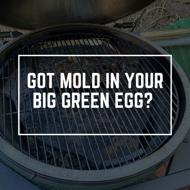 LEARN HOW TO REMOVE MOLD IN BIG GREEN EGG