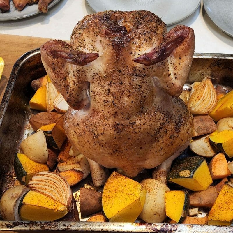 PIT BOSS WHOLE CHICKEN