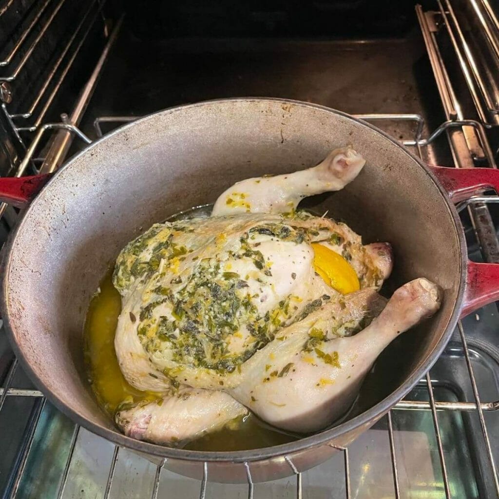 Where-to-Probe-Chicken-1