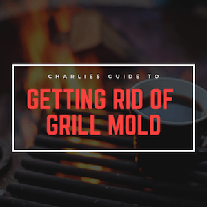 How To Get Rid of Grill Your Mold