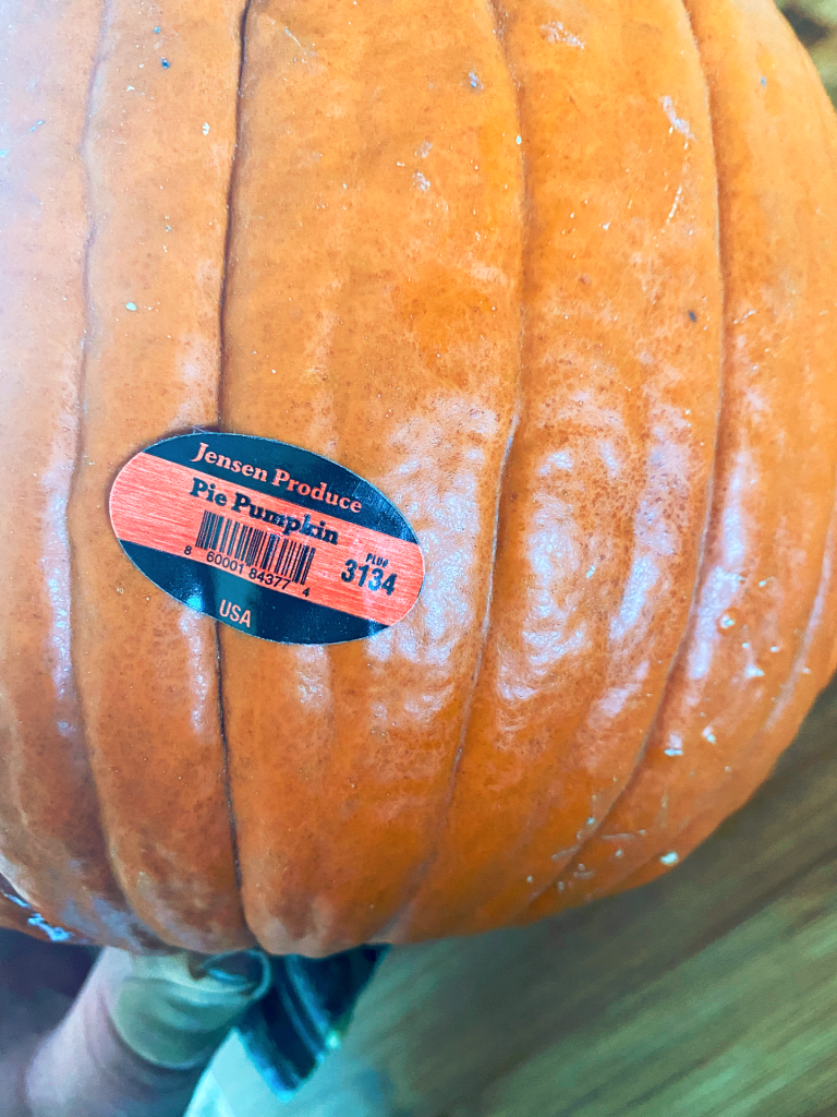 pumpkin-I-am-going-to-smoke